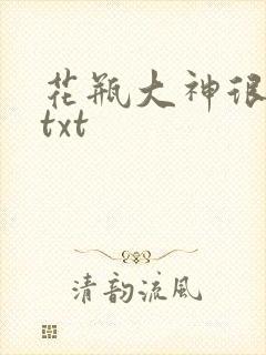花瓶大神很菜鸟txt
