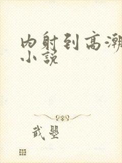 内射到高潮的H小说