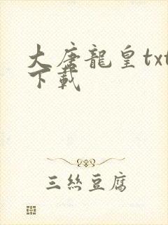 大唐龙皇txt下载