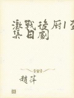 激战后厨1至5集日剧