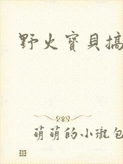 野火宝贝搞定你