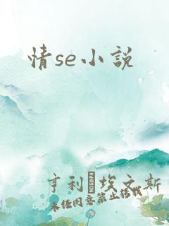 情se小说