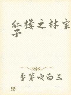 红楼之林家庶长子