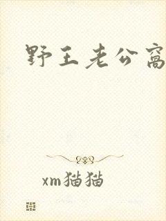 野王老公窝