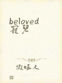 beloved宠儿