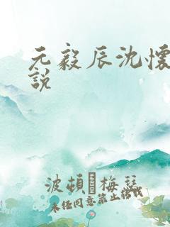 元毅辰沈怀妆小说