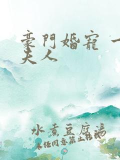 豪门婚宠 一品夫人