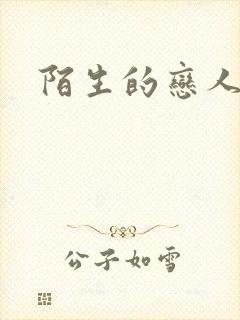 陌生的恋人小说