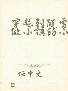 穿越到随处可以做小镇的小说