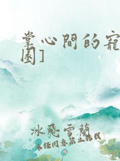 掌心间的宠[校园]