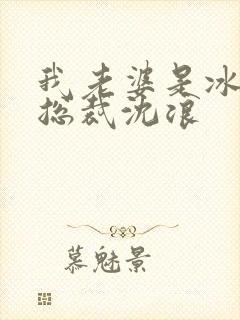 我老婆是冰山女总裁沈浪