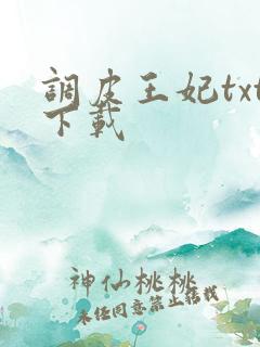 调皮王妃txt下载