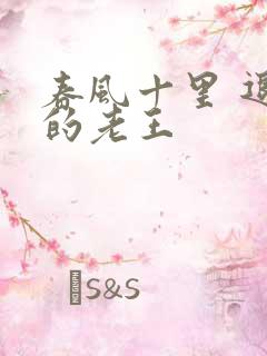 春风十里 退休的老王