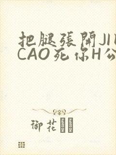 把腿张开JI巴CAO死你H公园