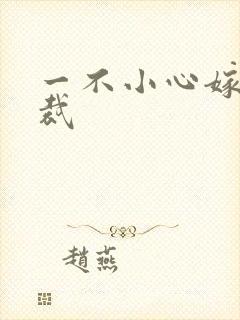 一不小心嫁给总裁