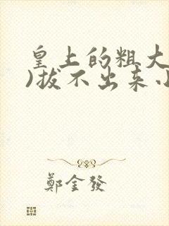 皇上的粗大(h)拔不出来小说