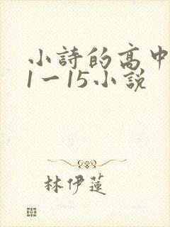 小诗的高中日记1一15小说