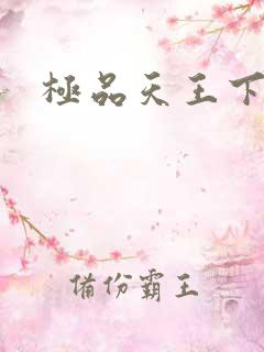 极品天王下载
