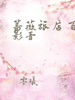 蔷薇旅店 百度影音