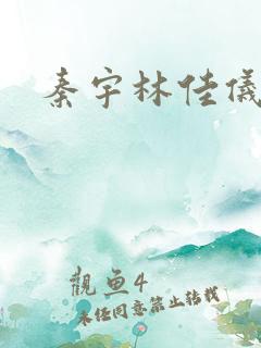 秦宇林佳仪小说