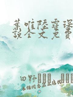 叶唯陆霆琛的小说全文免费阅读