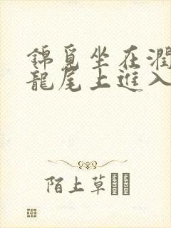 锦觅坐在润玉的龙尾上进入