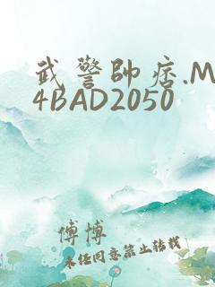 武警帅痞.MP4BAD2050