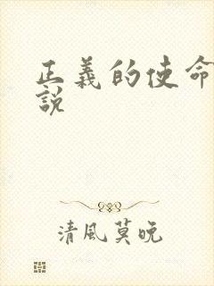 正义的使命 小说