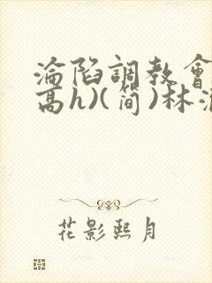 沦陷调教会所(高h)(简)林澈