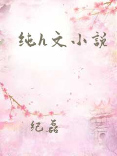 纯h文小说
