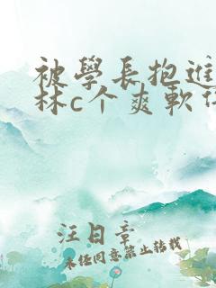 被学长抱进小树林c个爽软件