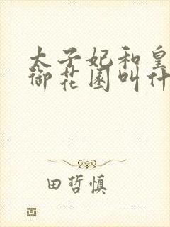 太子妃和皇帝在御花园叫什么小说