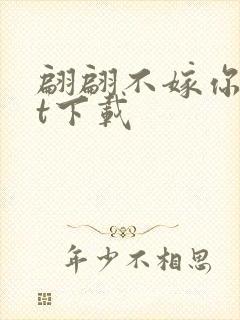 翩翩不嫁你txt下载