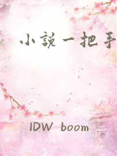 小说一把手
