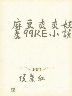 麻豆爽爽妓女国产99RE小说