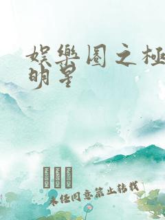 娱乐圈之极品大明星