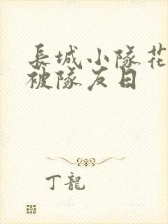 长城小队花木兰被队友日