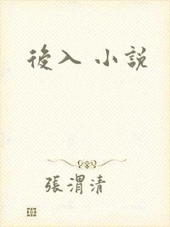 后入 小说