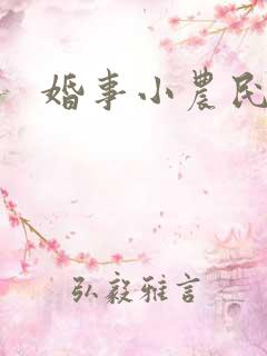 婚事小农民