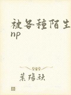 被各种陌生人 np