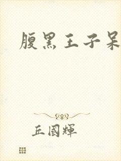 腹黑王子呆呆女