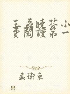 王磊晓芬小说免费阅读第一章