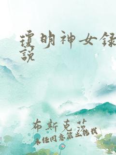 琼明神女录 小说