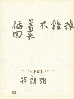 插着不能掉等我回来