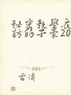 秘密教学夜晚到访的子豪20话