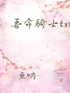 吾命骑士txt