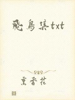 飞鸟集txt