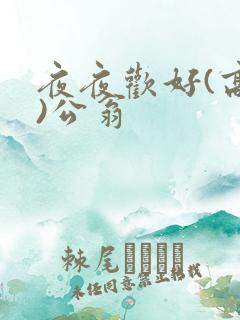 夜夜欢好(高h)公翁