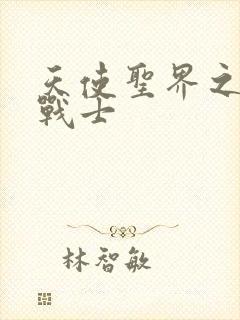 天使圣界之神之战士