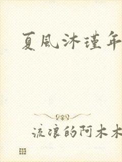 夏风沐瑾年